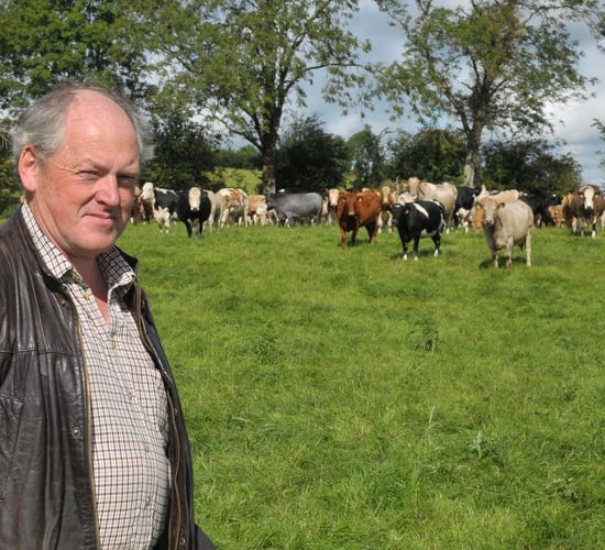 Vet urges vaccination of weanlings against pneumonia attack 