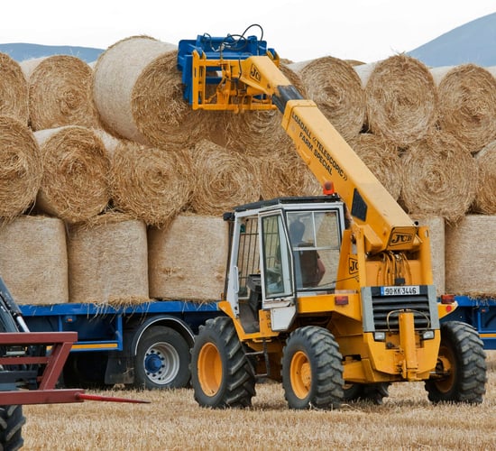 Research: Impact of potash levels on straw strength