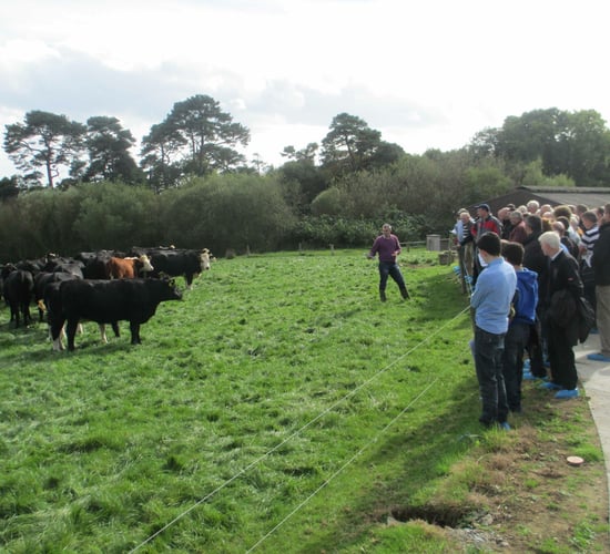 Wexford farm Teagasc event to address key farming issues
