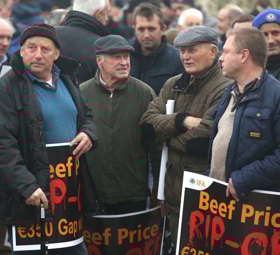 Irish beef industry needs a 'policeman' to regulate it - Henry Burns