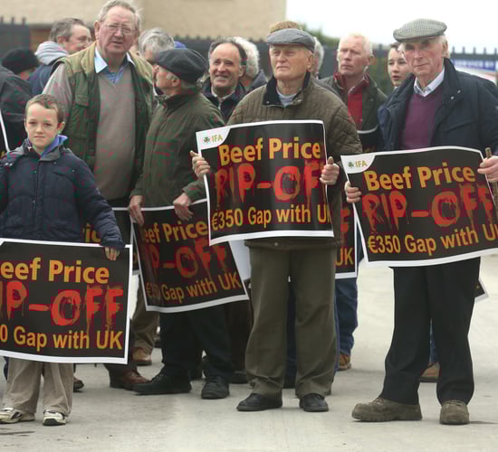 Beef Factory Protest - Poll