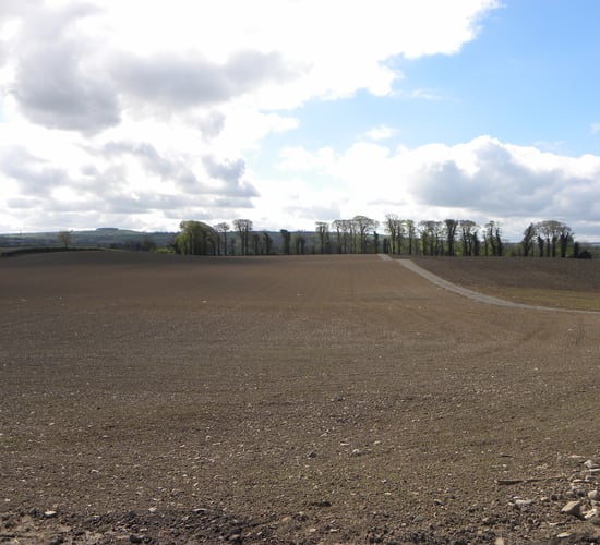 Seed availability forms backdrop to tillage planning