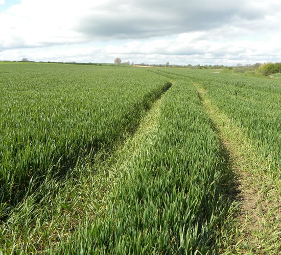 Tillage farm incomes rise 18% in 2018