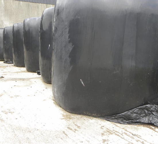Silage bales making €18-23 on Done Deal while hay is selling for €20-25