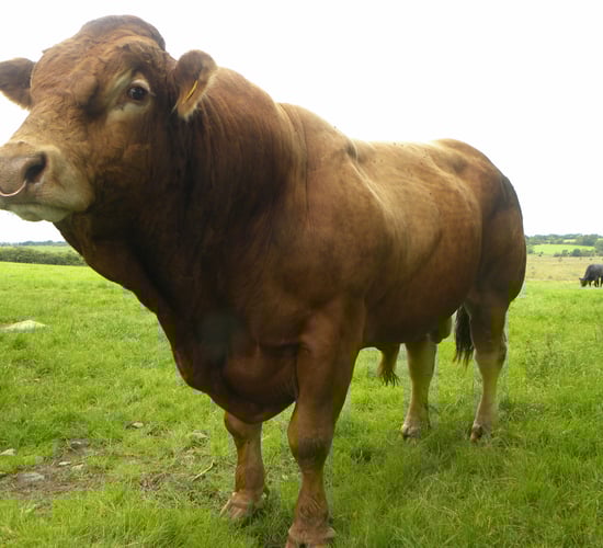 Keeping an eye on Genomics scheme requirements...