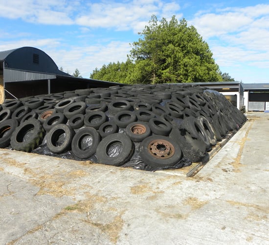 4 ways to boost fodder reserves on your farm for next winter