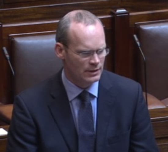 IFA hits out at Coveney stance on ABP/Slaney deal