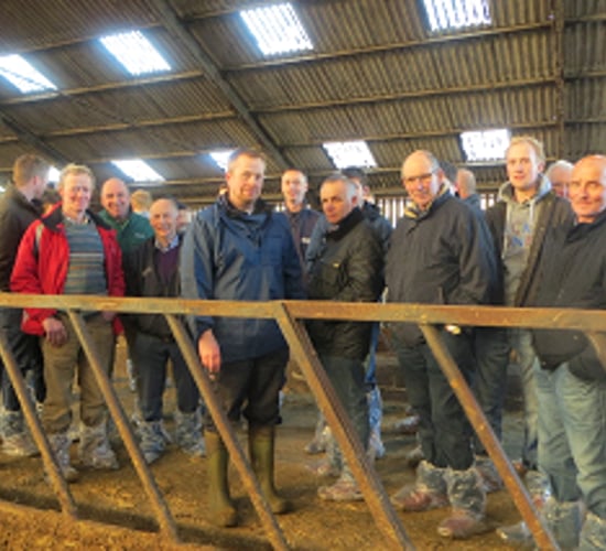 Cow welfare on large Scottish dairy farms