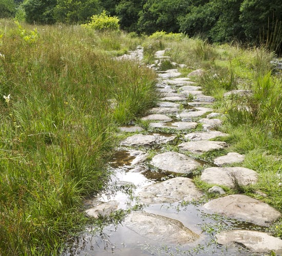 Latest GLAS details released by Department of Agriculture