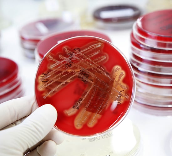 Teagasc to host student-focused festival for Science Week