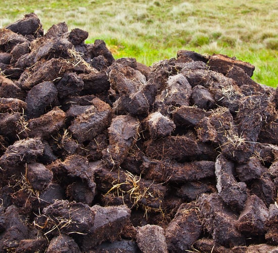 Is de-designation on the cards for your local bog?