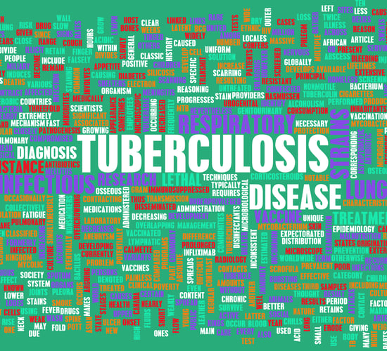 Bovine TB control/eradication the focus of international conference