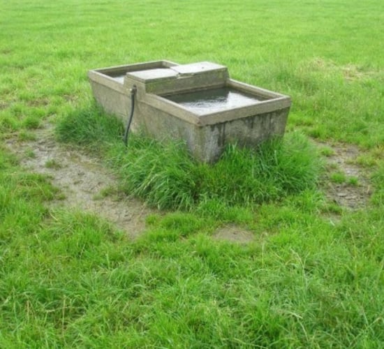 How much will your livestock cost you in water charges ?