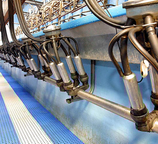 'Milk Supply Reduction Scheme must not be hindered by processors'