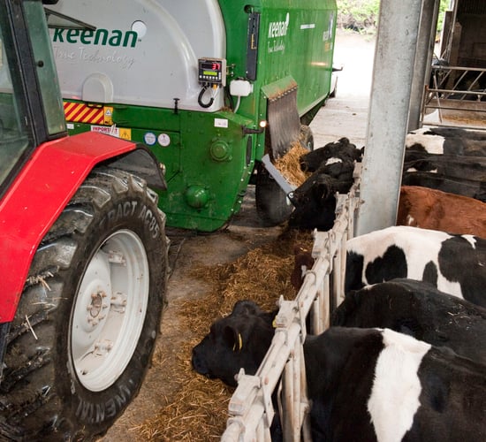 Is TMR a suitable buffer feed for your herd this winter?