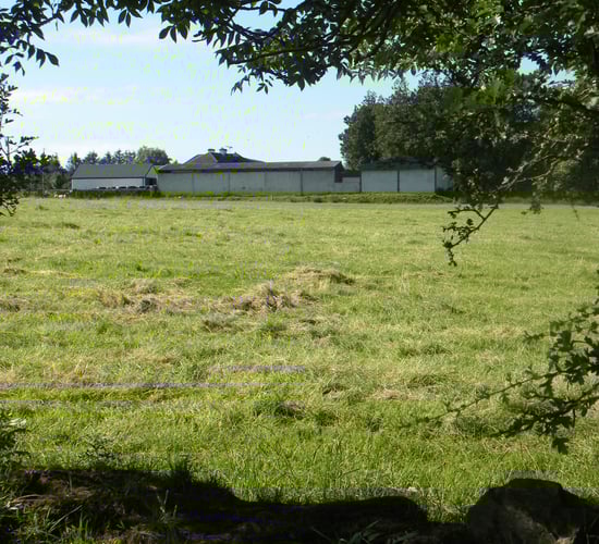 Agriculture accounted for 55% of work-related deaths during 2014