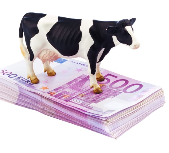 Prices rise again at Global Dairy Trade auction