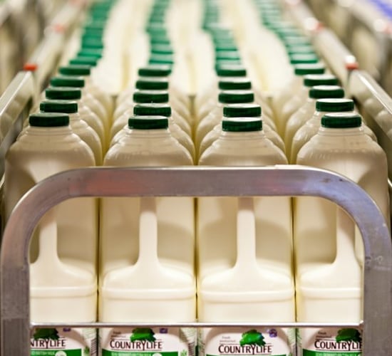 Opportunity exists in Asian dairy market, localisation is key - ICOS
