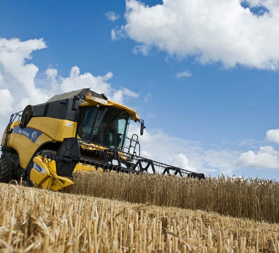 Russian grain production may fall 40% if weather takes its toll