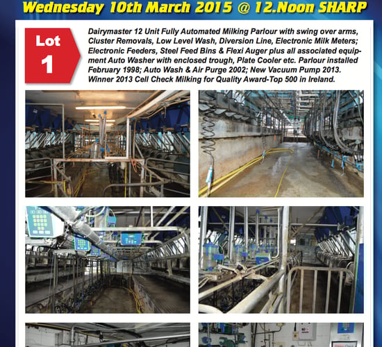 Large crowd at Lyons Estate for milking equipment auction