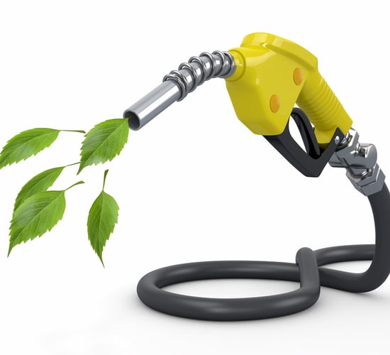 EU biofuel policy has no impact on Irish feed prices