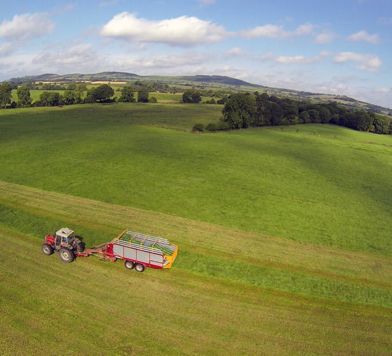 UFU discusses Greening difficulties with DARD