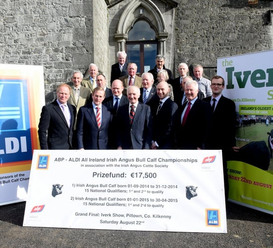 €17,500 prize fund for All-Ireland Angus Bull Calf Championship