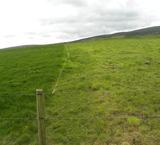 February proves difficult month to meet grazing targets