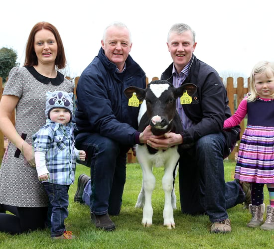 Kerry farmer breeds 400 EBI bull calf