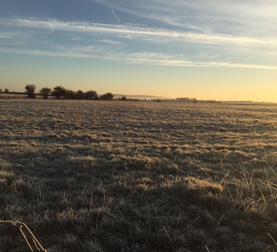 Sharp or severe frost - and some snow - expected this week