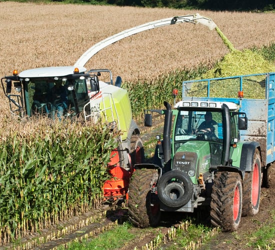 'EU is dragging its feet on GMO issues despite food safety sign off'