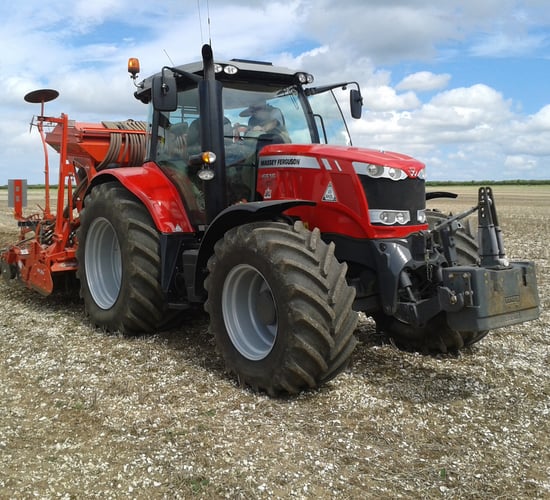 Mid-October optimal time to sow winter wheat crops