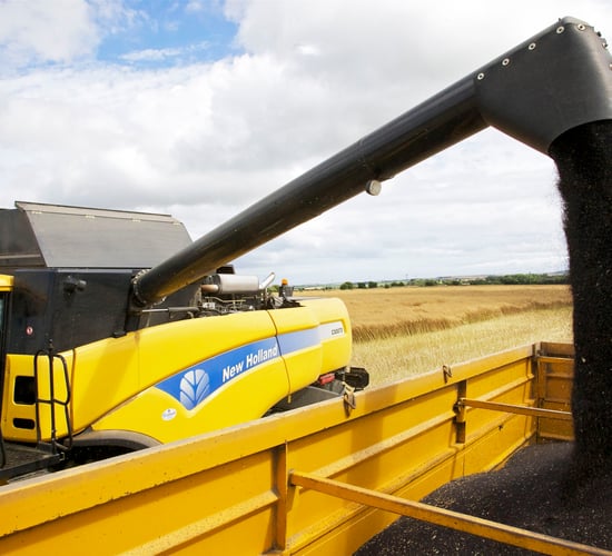 Adoption of GM crops would benefit farmers, says UK cereal association