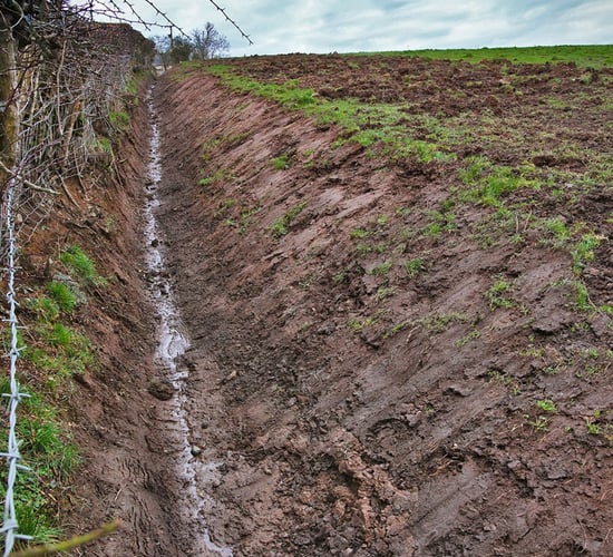 Barriers stopping farmers maximise GLAS payments must be removed - IFA