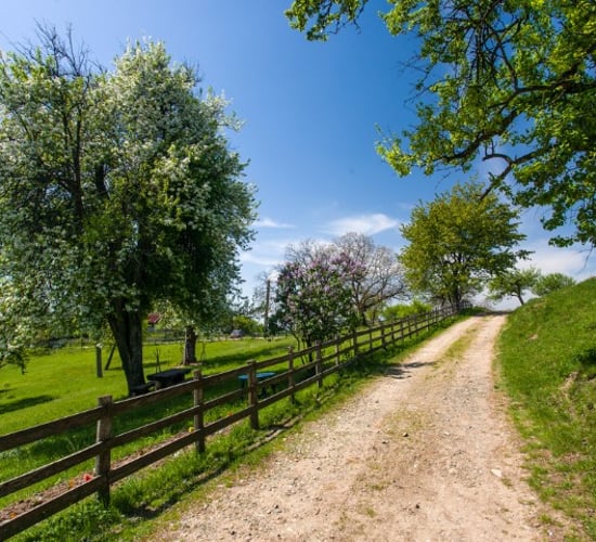 New rural development policy 'cannot become another false dawn'