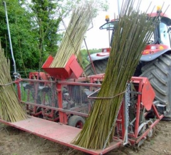 Willow and miscanthus schemes face chop (only 4 farmers apply in 2015)