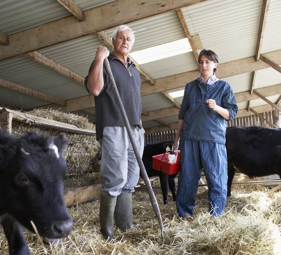 'Significant gender pay gap' uncovered in Irish veterinary retention study