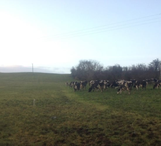3,000 NI farmers sign up for soil sampling scheme
