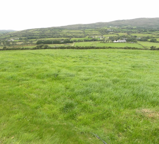 Is Ireland facing a grass famine and feast situation?