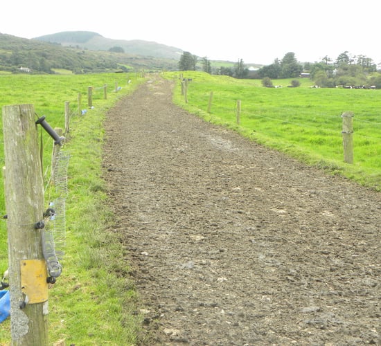 Features on Irish farms that are ineligible for payments