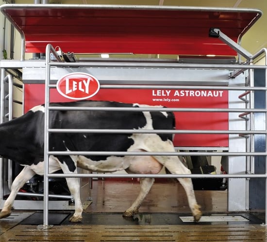 'Herd health improved with Lely milking robots'