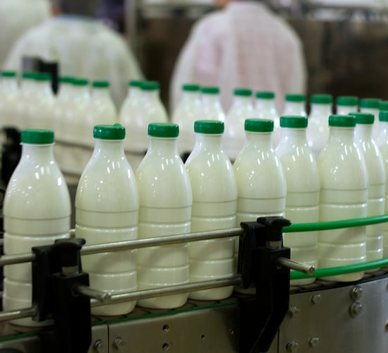Premium price and risk of illness doesn't sour the taste for raw milk