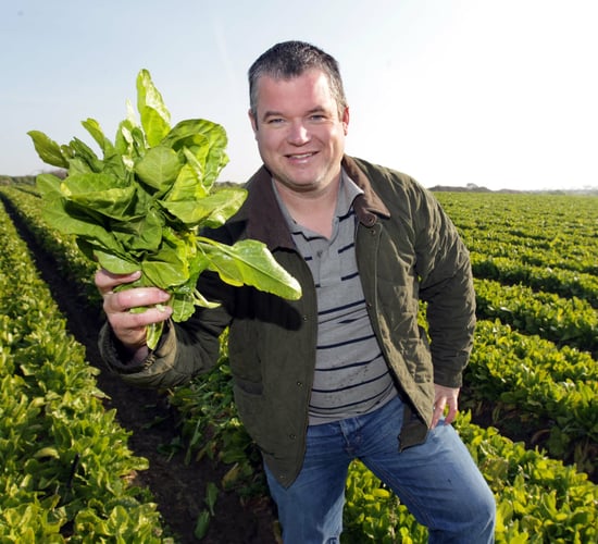 Dublin grower to provide first season spinach this year