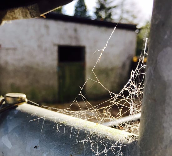 Farm manager with MS wins €31,000 after unfair dismissal