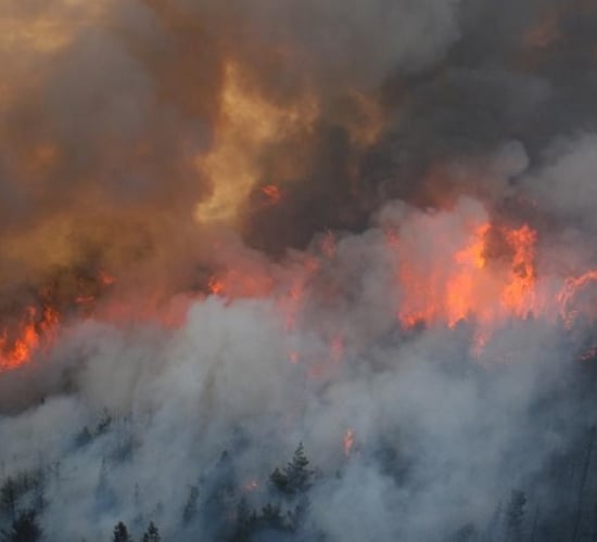 INHFA seeks extension of burning dates after wet winter