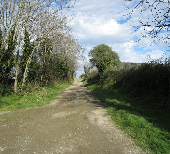 Rural roads priorities 'a matter exclusively' for councils - Humphreys