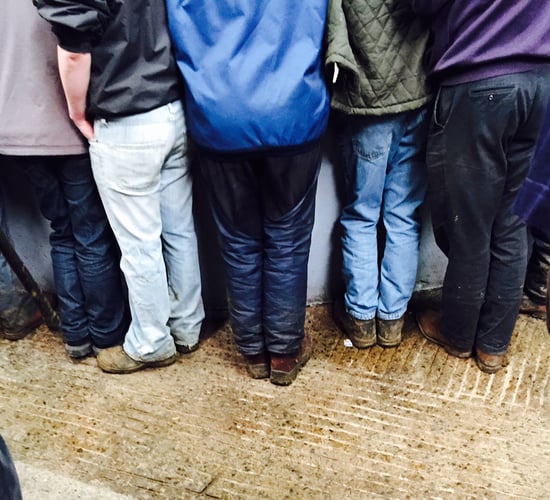 Kanturk Mart on song for 'Rearing for Rickie' fundraiser