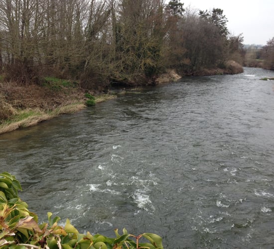 Poor water quality will be the new quota - EPA