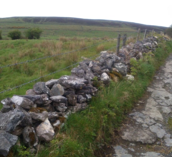 'Proposed extension of August 31 deadline for farm schemes should be supported'