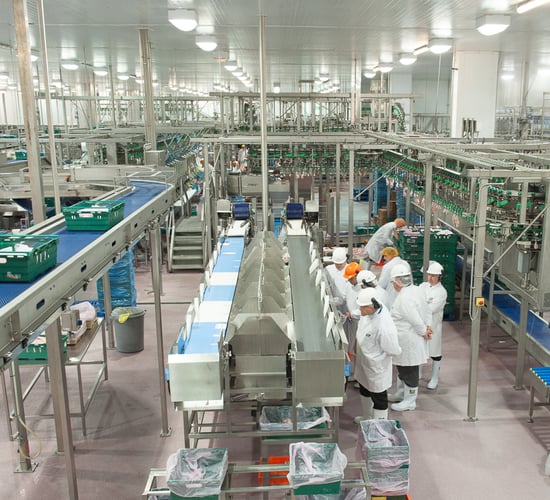 Moy Park strike continues at Randalstown plant